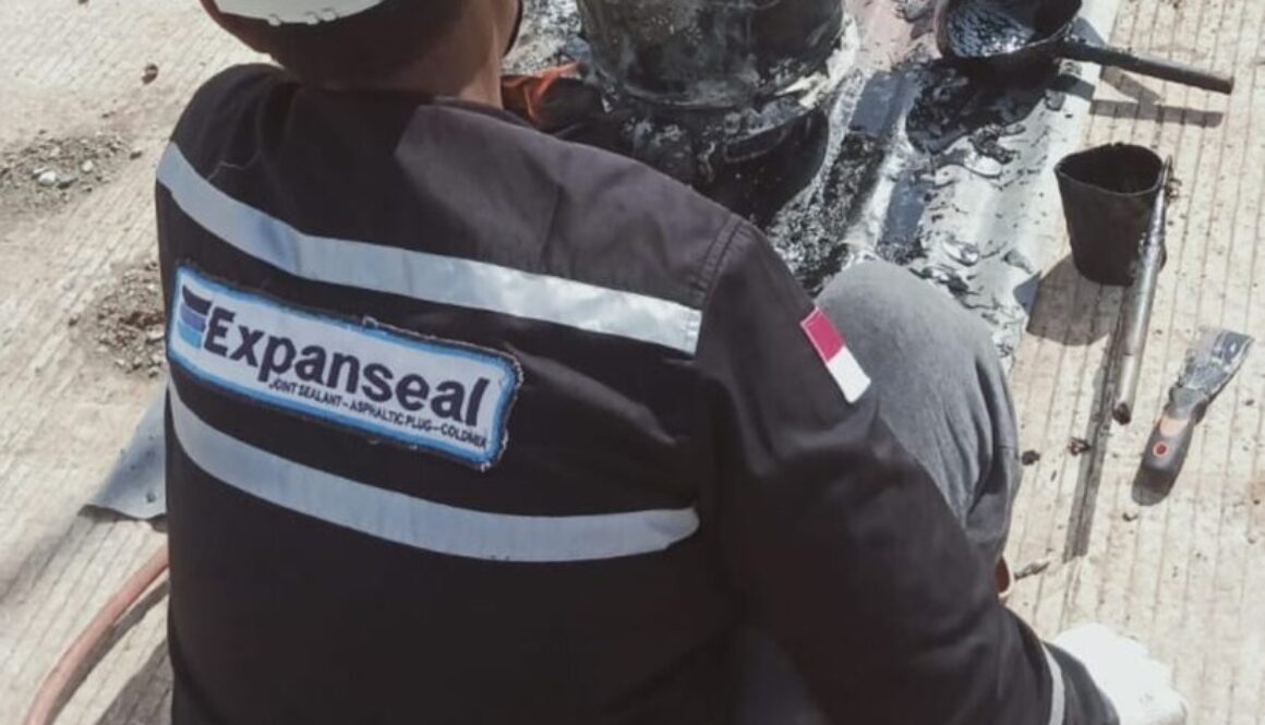 Expanseal100_4_frame